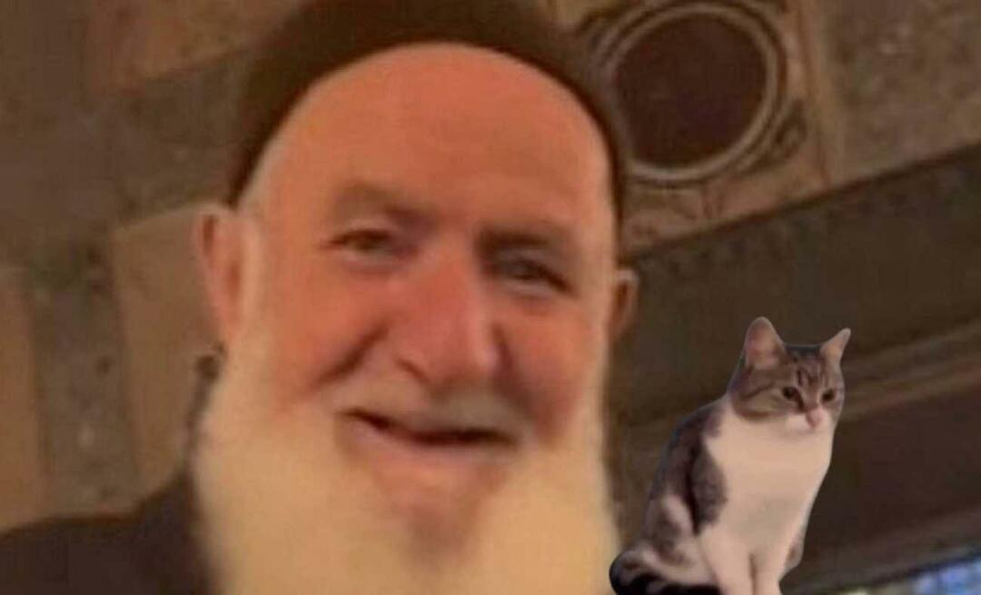 Kakek pecinta kucing berbicara untuk pertama kalinya di Hagia Sophia! Ahmet Dede membuatku tersenyum lagi