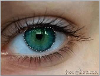 Adobe Photoshop Basics - Human Eye memilih lapisan mata