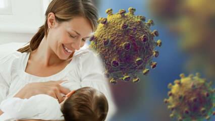 Apakah virus corona menular dari susu ke bayi? Perhatian untuk ibu hamil selama proses pandemi! 