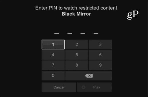 PIN Netflix
