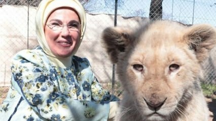 Ibu Negara Erdogan mengambil foto dengan bayi singa