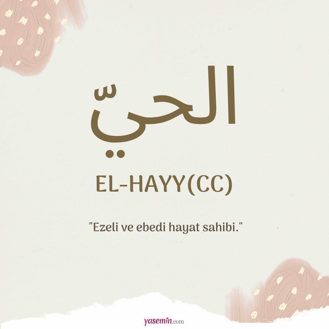 Apa yang dimaksud dengan al-Hayy (c.c)?