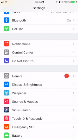 Tambahkan fitur Perekaman Layar ke Pusat Kontrol perangkat iOS Anda.
