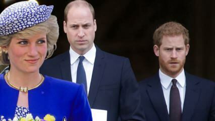 Salahkan para pangeran ke BBC... Pangeran William: Wawancara itu menghancurkan keluarga kami!