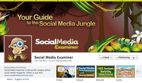halaman facebook pemeriksa media sosial
