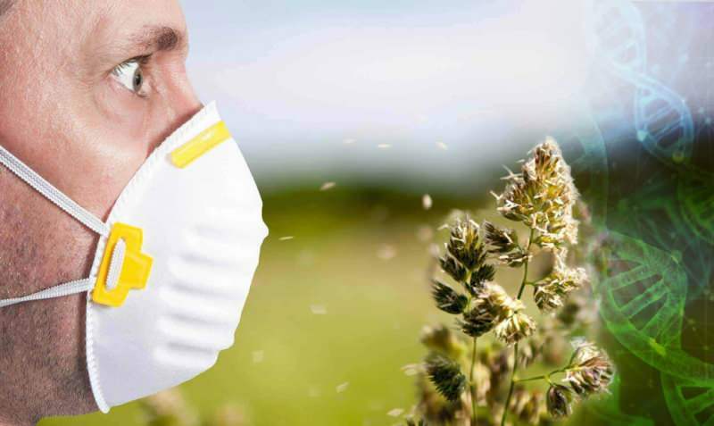 alergi serbuk sari meningkat