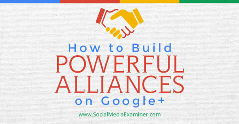 membangun aliansi di google +