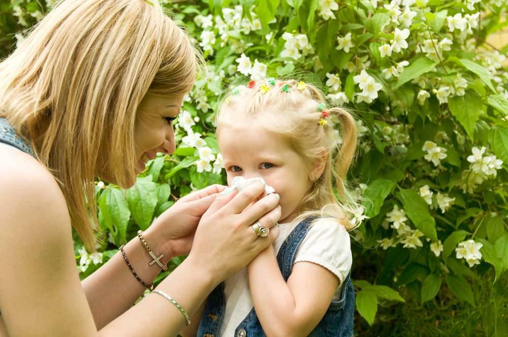 Apa yang baik untuk alergi musiman pada anak-anak?