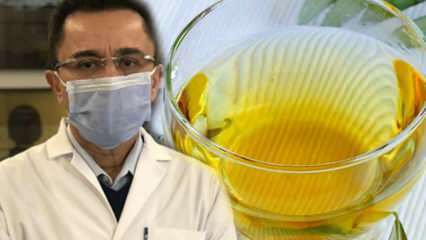Teh ajaib melawan virus: Apa manfaat teh daun zaitun? Membuat teh daun zaitun