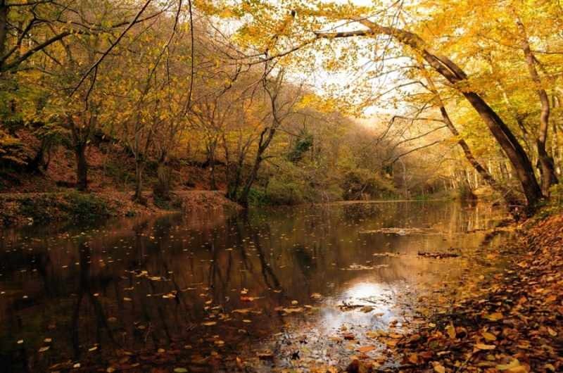 Pendakian musim gugur di hutan Beograd