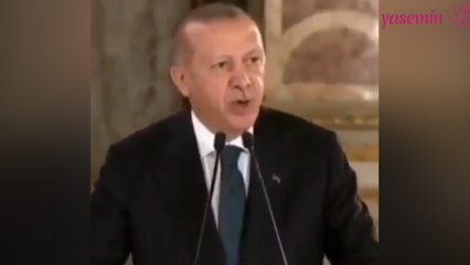 Presiden Erdogan: Para seniman yang menuangkan sisi politik mereka ke dalam polemik membuat kami sedih