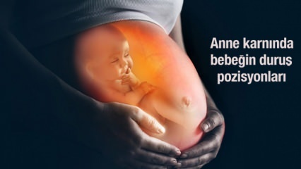 Posisi postur bayi dalam kandungan ibu! Bagaimana posisi bayi dipahami? Ke jalan lahir ...