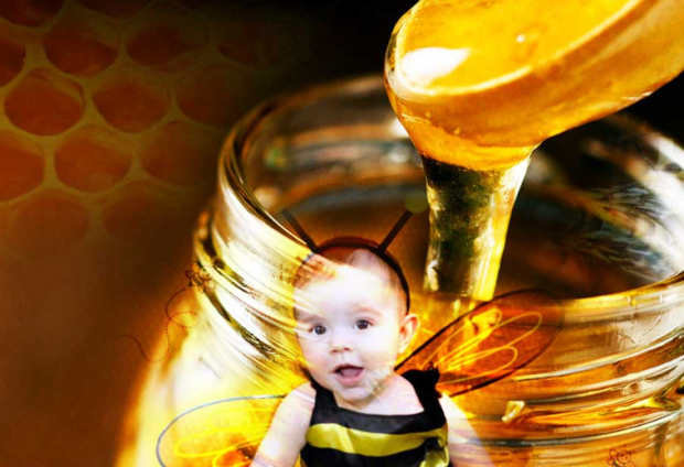 haruskah madu diberikan kepada bayi?