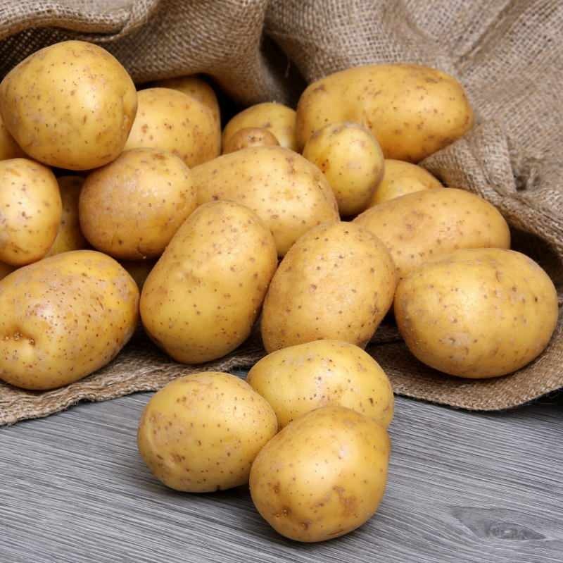 Apa perbedaan antara kentang yang dapat dimakan dan kentang goreng