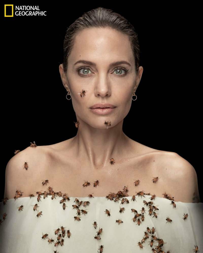 Angelina Jolie dalam lensa dengan lebah untuk lebah!