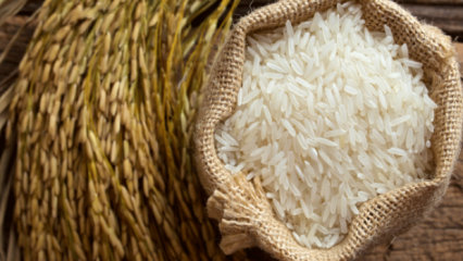 Bagaimana cara memahami beras yang terbaik? 