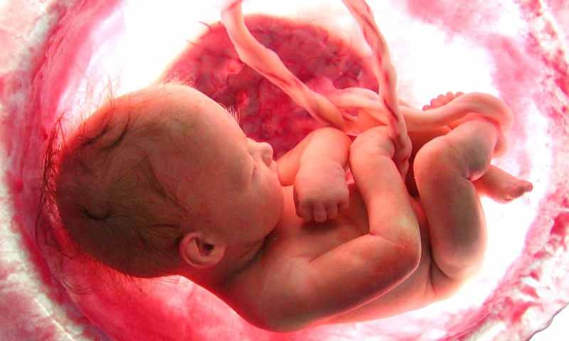 Kelahiran bayi di dalam rahim