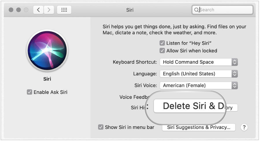 Hapus Siri History di Mac