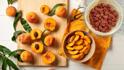 Bagaimana cara menumbuhkan biji persik? Perkecambahan biji persik langkah demi langkah