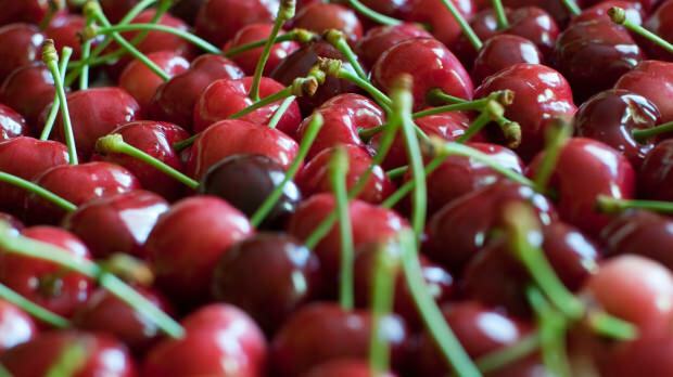 Apa manfaat buah ceri? Apa yang dilakukan tangkai ceri?