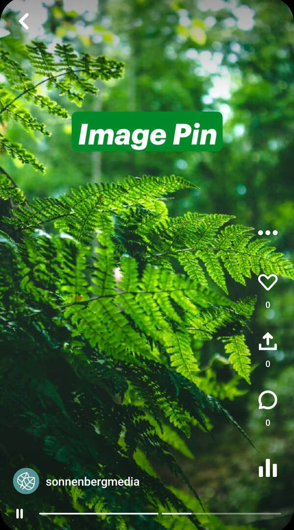 apa-apa-pinterest-idea-pins-sonnenbergmedia-image-pin-example-2