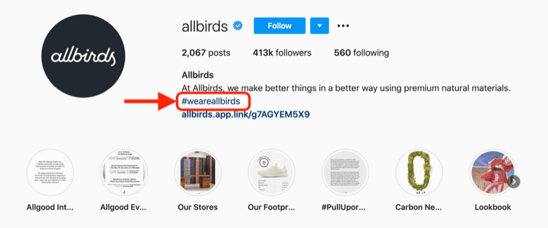 contoh hashtag perusahaan yang termasuk dalam deskripsi profil akun instagram @allbirds