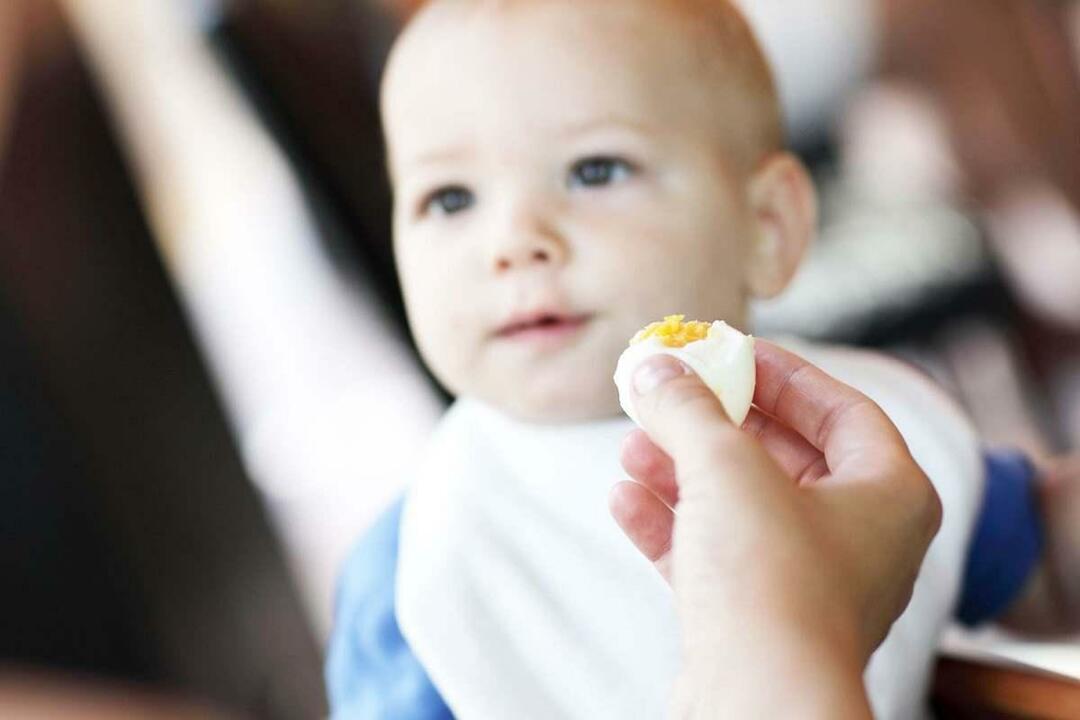 bayi makan telur