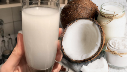 Apa yang dilakukan air kelapa? Apa manfaat kelapa?