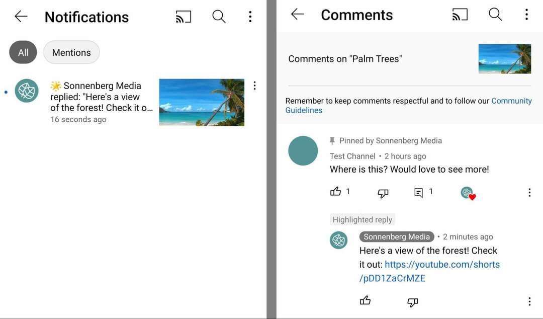 bagaimana-menggunakan-youtube-shorts-commenting-feature-to-tag-and-mention-commenters-copy-url-for-short-and-share-in-comment-on-original-video-sonnenbergmedia-example-15