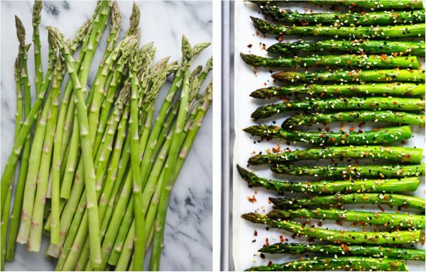 tanaman asparagus