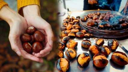 Apakah kastanye membuat berat badan bertambah? Apakah chestnut mentah membuat berat badan Anda turun? Jika Anda makan 100 gram chestnut sehari...