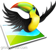 editor warna toucan burung