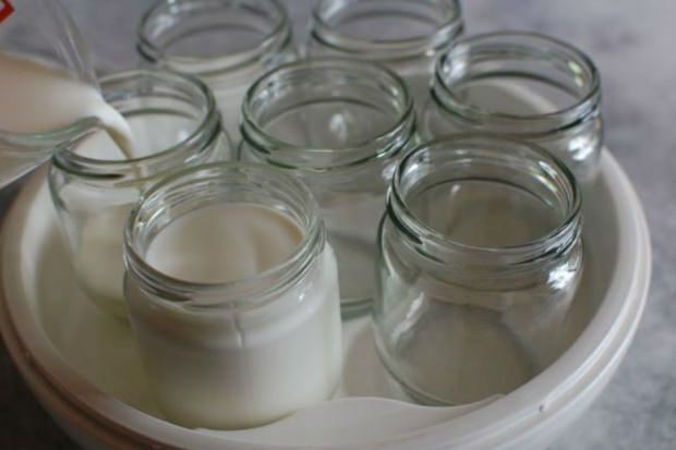 yogurt dari susu desa