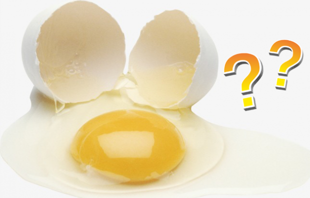 Apakah kuning telur atau putih bermanfaat