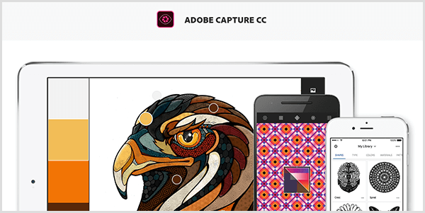 Adobe Capture membuat palet dari gambar yang Anda ambil dengan perangkat seluler. Situs web menunjukkan ilustrasi burung dan palet yang dibuat dari ilustrasi tersebut, yang mencakup abu-abu muda, kuning, oranye, dan coklat kemerahan.