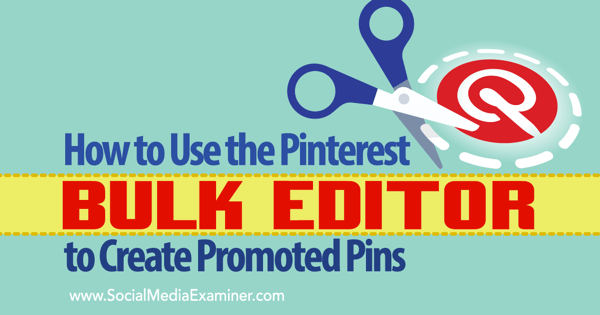 pin yang dipromosikan dan alat editor massal pinterest