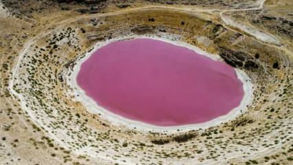 Warna Danau Meyil Obruk berubah menjadi merah muda!