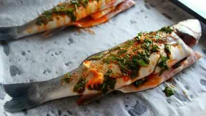 Bagaimana cara memasak ikan biru? Cara termudah untuk memasak ikan bluefish! Resep ikan bluefish panggang