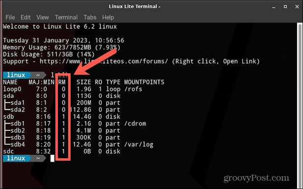 disk linux rm