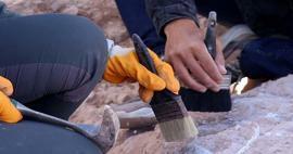 Penemuan yang akan mengubah jalannya sejarah: Para arkeolog menemukan struktur kayu tertua di dunia