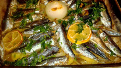 Bagaimana cara memasak ikan sarden? Resep sarden termudah