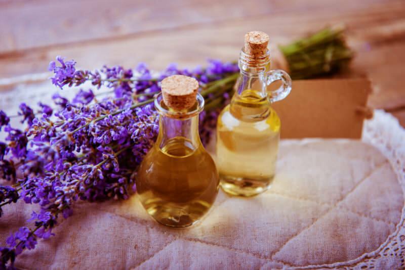 Bagaimana minyak lavender diekstraksi? Minyak lavender diperoleh di rumah