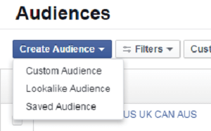 audiens iklan facebook membuat pilihan menu audiens