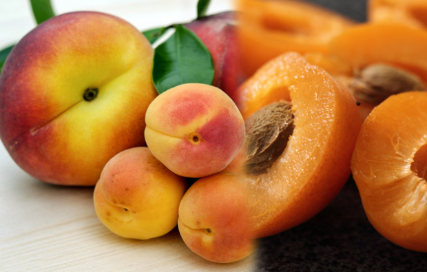 Bagaimana cara membuat diet aprikot?