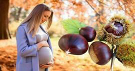 Bolehkah ibu hamil makan chestnut? Manfaat makan chestnut saat hamil untuk bayi dan ibu