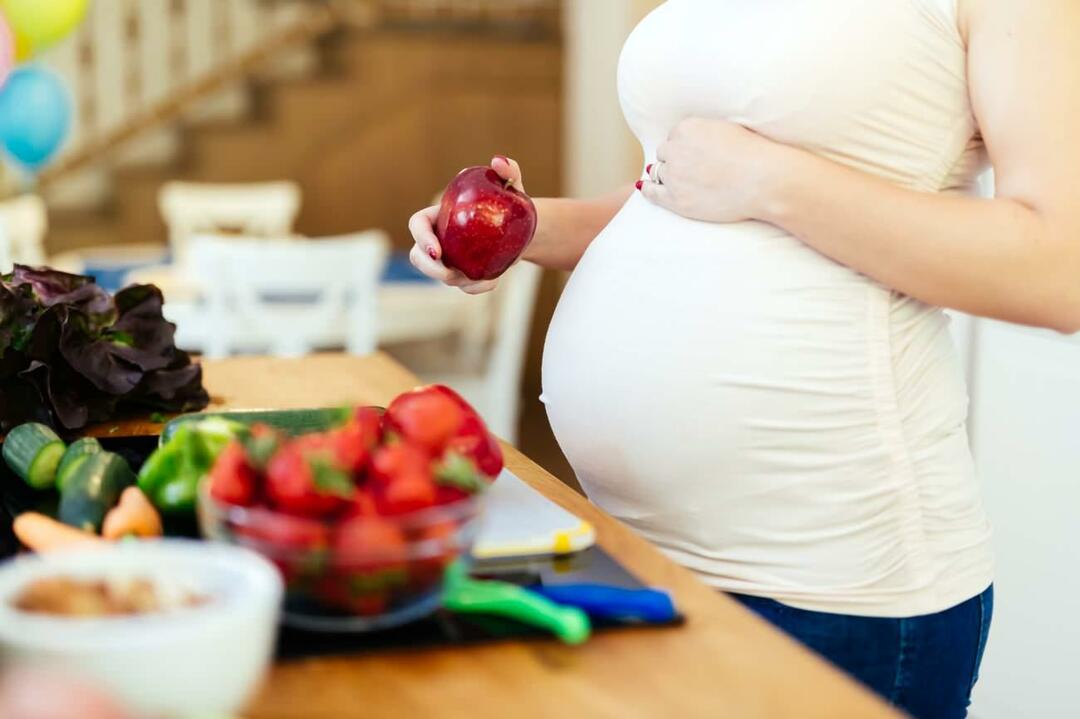 nutrisi selama kehamilan