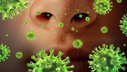 Muncul kembali: Apa itu virus Sars dan apa saja gejalanya? Bagaimana virus Sars ditularkan?