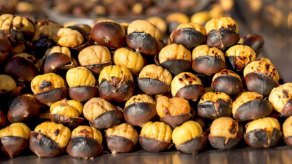 Apa manfaat kastanye? Penyakit apa yang cocok untuk chestnut? Jika Anda makan empat chestnut sehari ...