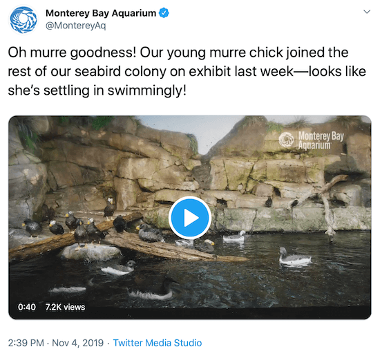 tweet dari Monterey Bay Aquarium sebagai contoh suara media sosial suatu merek