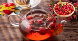 Apakah teh rosehip melemah? Apakah teh rosehip bekerja di usus?